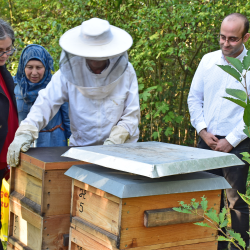 Eva Jähnigen lässt sich vom Imker die Bienenvölker zeigen. Foto: Trache