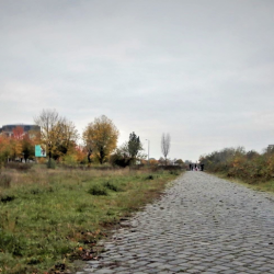 Die Pisendelstraße. Foto: Archiv Brendler