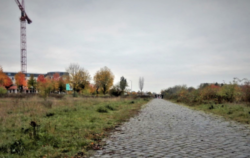 Die Pisendelstraße. Foto: Archiv Brendler