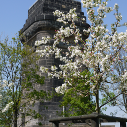 Die Bismarcksäule in Dresden. Foto: Cornelia Borkert