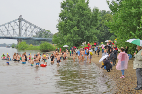 Elbeschwimmen Dresden 2021