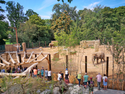 Die Außenanlage für die Elefanten hat sich verdoppelt. Foto: Zoo Dresden