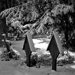 Der Heidefriedhof. Foto: K. Brendler