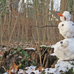 Schneemann. Foto: Pohl