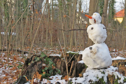 Schneemann. Foto: Pohl