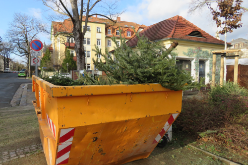 Das Ende vom Weihnachtsbaum-Traum: Über 100 extra Sammelstellen nehmen die abgeschmückten Nadelbäume auf. Foto: Pohl