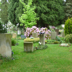 Der Friedhof Loschwitz ist eine grüne Oase. Foto: Heike Richter