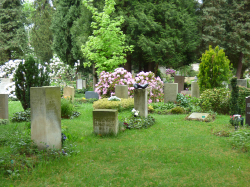 Der Friedhof Loschwitz ist eine grüne Oase. Foto: Heike Richter