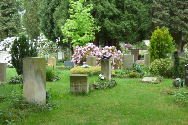 Der Friedhof Loschwitz ist eine grüne Oase. Foto: Heike Richter