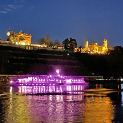 Zum Welt-Pankreaskrebstag starten lila illuminierte Dampfschiffe. Foto: PR