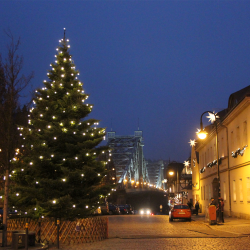 Der beleuchtete Weihnachtsbaum sorgt für Vorfreude in der Adventszeit. Foto: Pohl