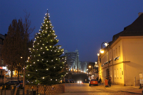 Der beleuchtete Weihnachtsbaum sorgt für Vorfreude in der Adventszeit. Foto: Pohl