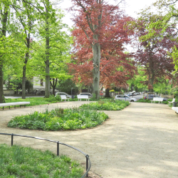 Umsäumt von alten Bäumen lädt der neugestaltete Friedensplatz zum Verweilen ein. Foto: Pohl