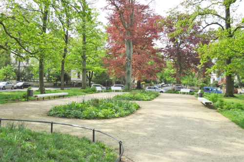 Umsäumt von alten Bäumen lädt der neugestaltete Friedensplatz zum Verweilen ein. Foto: Pohl