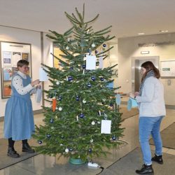 Anika Gränz, Referentin barrierefreies Lernen (l.) und Stefanie Elies, Pädagogische Mitarbeiterin VHS ALFA „schmücken“ den VHS-Weihnachtswunschbaum mit den Herzenswünschen der Teilnehmenden. Foto: VHS Dresden
