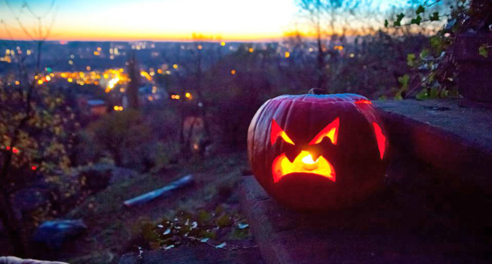 Halloween im Gruselgarten Halloween im Gruselgarten