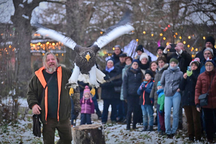 Vorfreude in den Stadtteilen Vorfreude in den Stadtteilen