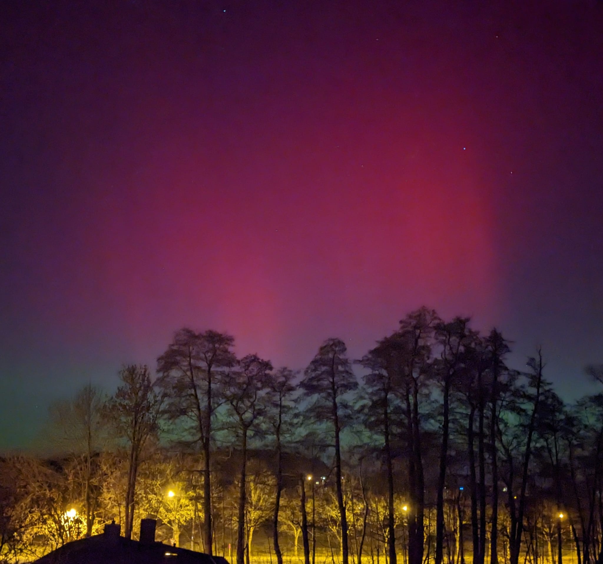 Faszinierend: Polarlichter im Raum Dresden. Sie leuchteten am späten Abend des 19. Januar über dem Hohenbusch in Weixdorf. Foto: Martin Pohl