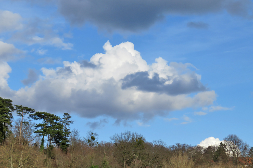 Mal Sonne, mal Wolken, vielleicht ein bisschen Nieselregen, mit diesem Mix geht es in den nächsten Märztagen weiter. Gute Aussichten für alle, die gern etwas an der frischen Luft unternehmen. Foto: Pohl
