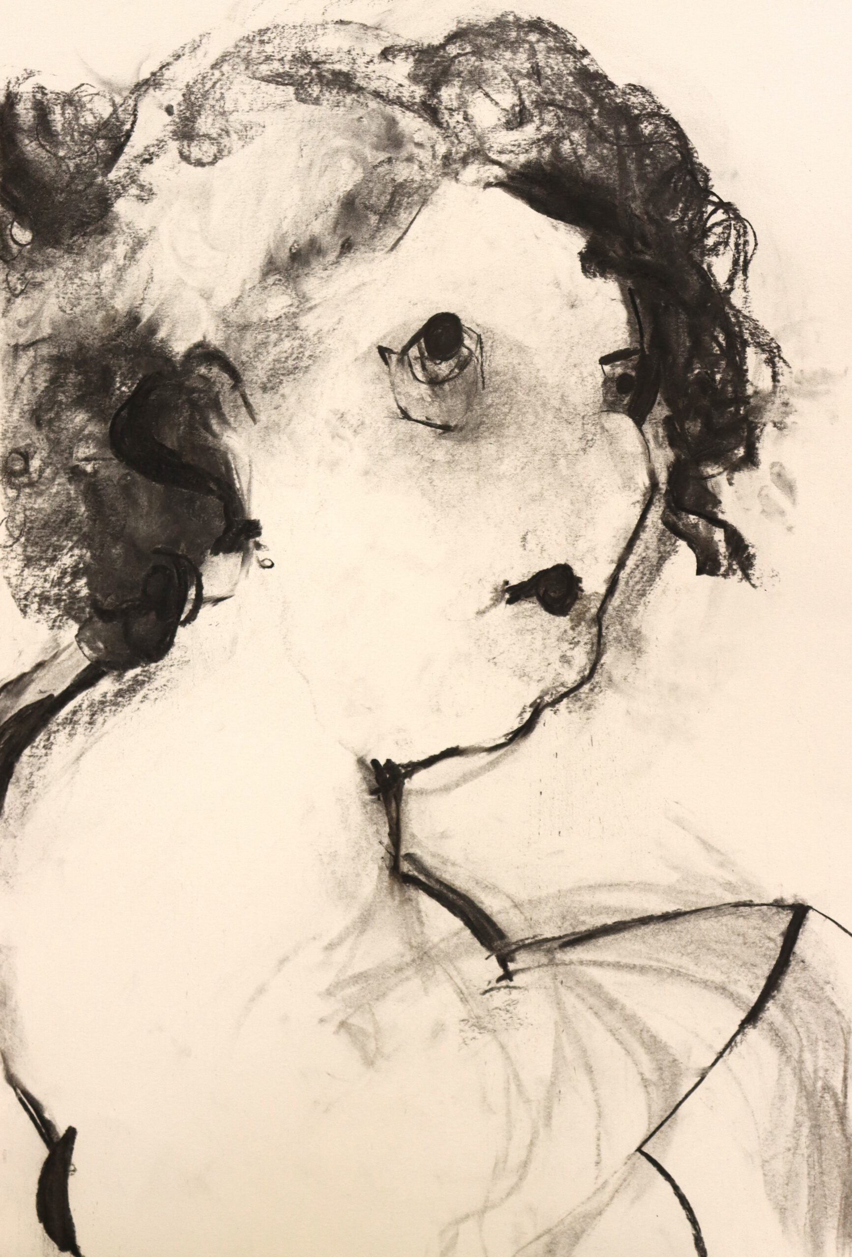 Porträt-Ausstellung im Rathaus Porträt-Ausstellung im Rathaus