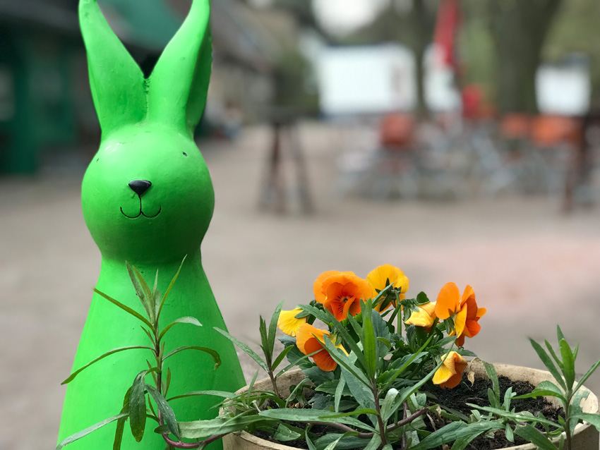 Der Osterhase heißt die Gäste auf der Hofewiese willkommen. Foto: ZZDD