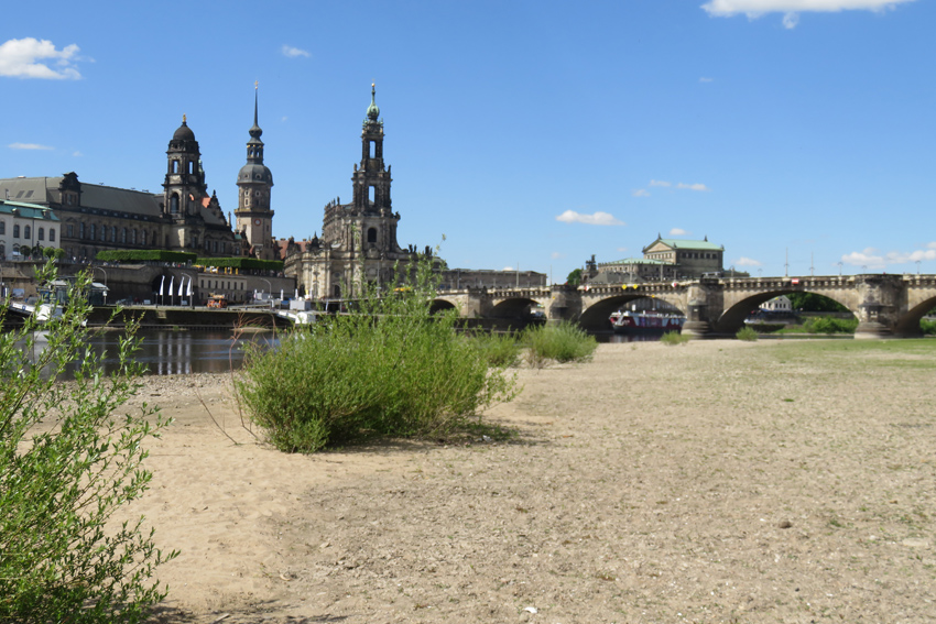 Die langanhaltende Hitze sorgt wie im Vorjahr für Trockenheit und einen niedrigen Elbpegel in Dresden, am 30. Juni knapp 80 Zentimeter. Foto: Pohl