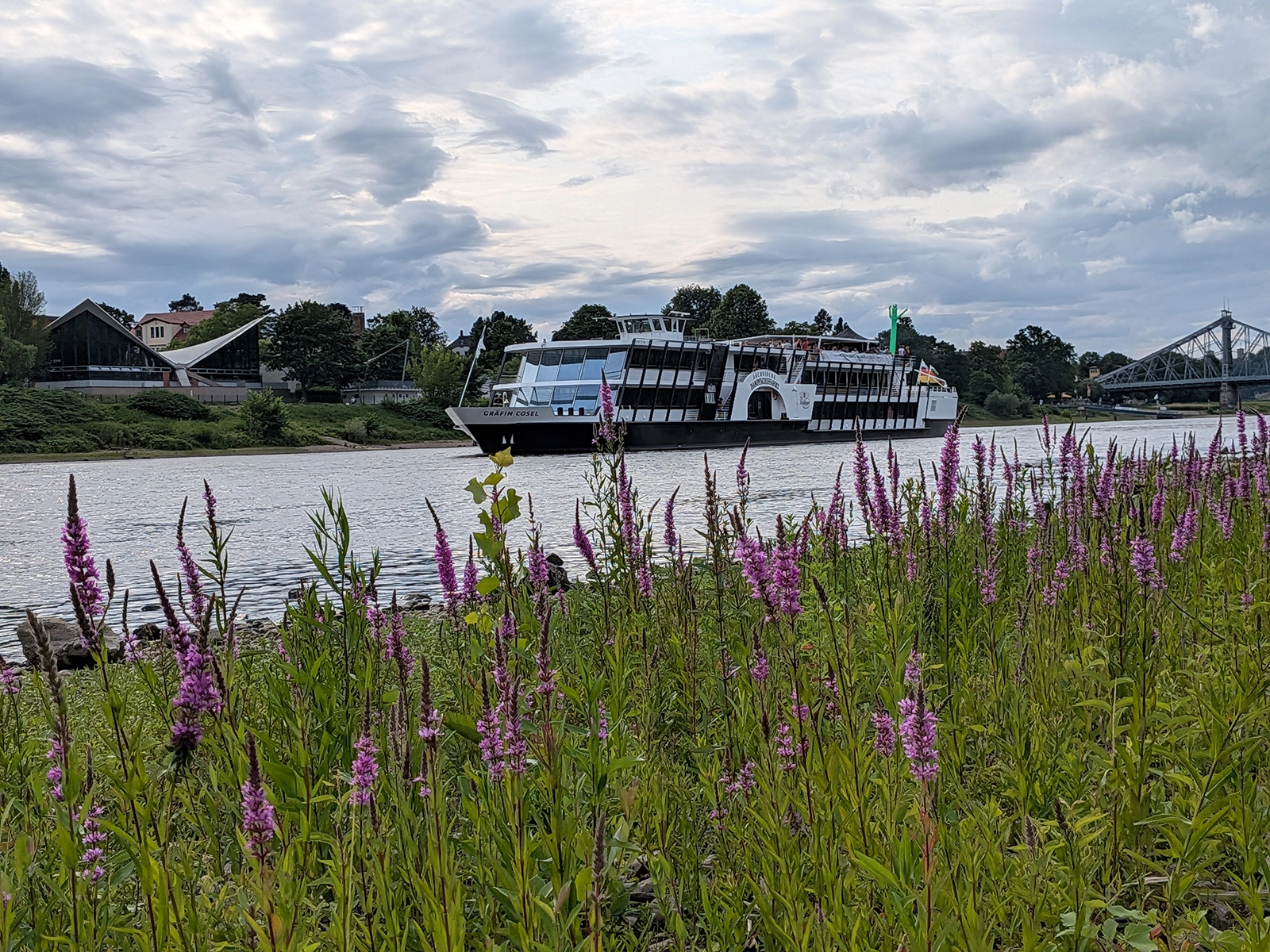 Regen in Sicht? Der Sonne-Wolken-Mix ist zumindest ein Versprechen. Auch die Ausflugsschiffe auf der Elbe warten auf das lebensspendende Nass, damit sie wieder Touren bis nach Pillnitz anbieten können und nicht schon am Blauen Wunder wenden müssen. Der Pegelstand Mitte Juli: 59 Zentimeter. Foto: Pohl