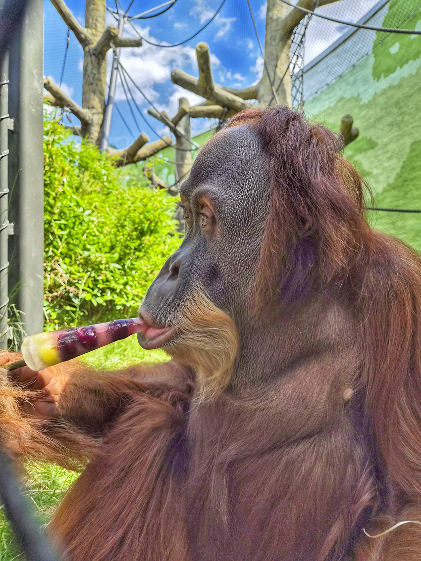 Ferienauftakt im Zoo Dresden Ferienauftakt im Zoo Dresden